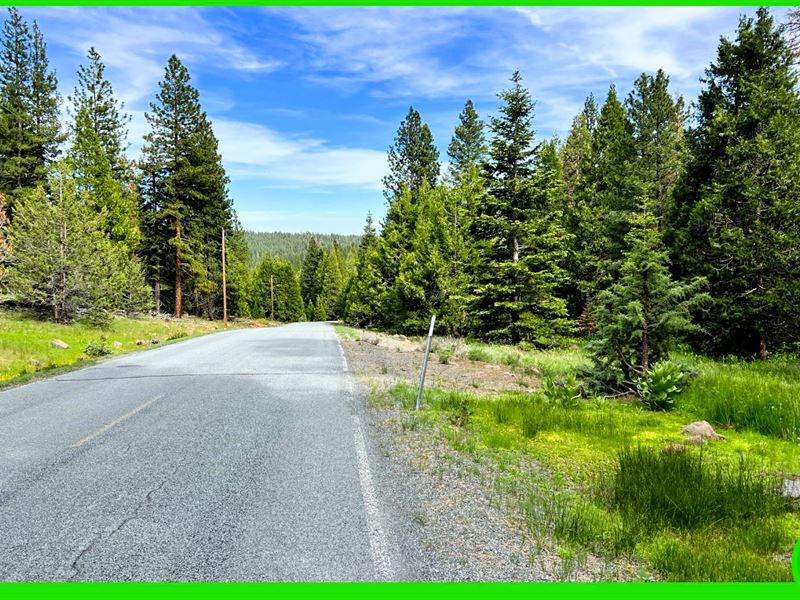 .90 Acre of Vacant Land in CA : Alturas : Modoc County : California