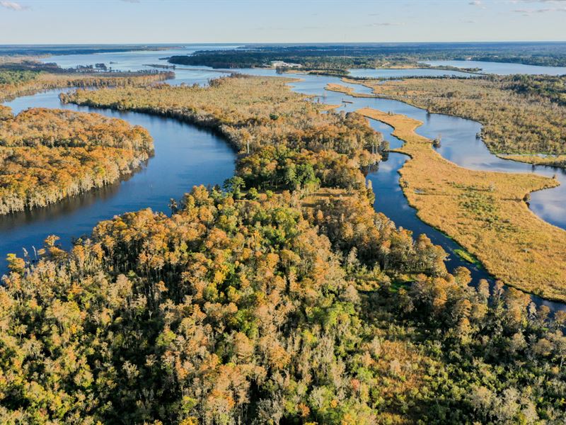 Hog Island Plantation : New Bern : Craven County : North Carolina