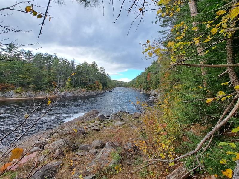 Hudson River Woods & Water : Chestertown : Warren County : New York