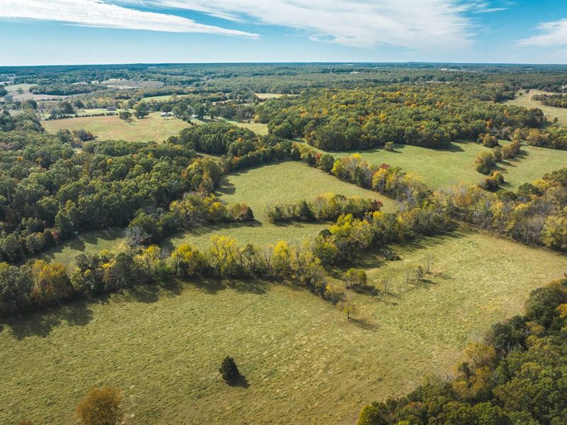 Spring Branch South 45 : Salem : Dent County : Missouri