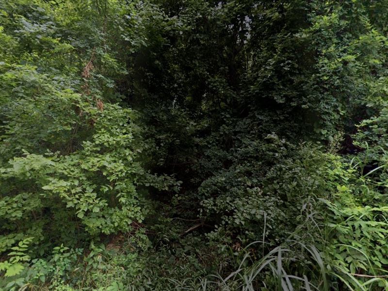 Your Interdimensional Hideaway : Blytheville : Mississippi County : Arkansas
