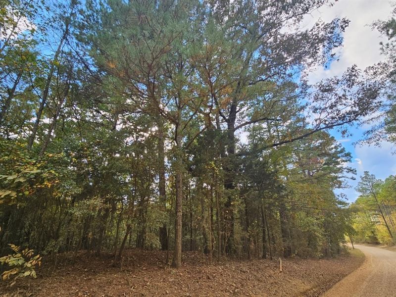 13 Acres in Webster County in Eupor : Eupora : Webster County : Mississippi