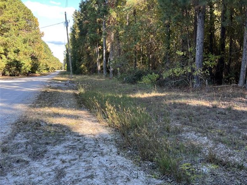 Waterfront Lot in Hyde County, NC : Belhaven : Hyde County : North Carolina