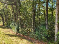 Bullsboro Road Tract : Newnan : Coweta County : Georgia