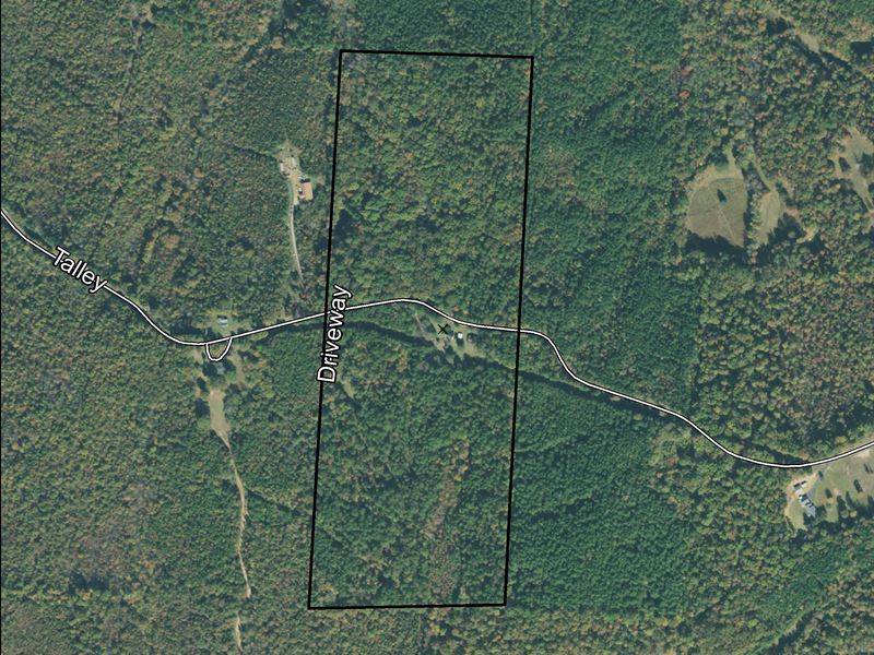 Hunting / Residential Land : Hornsby : McNairy County : Tennessee