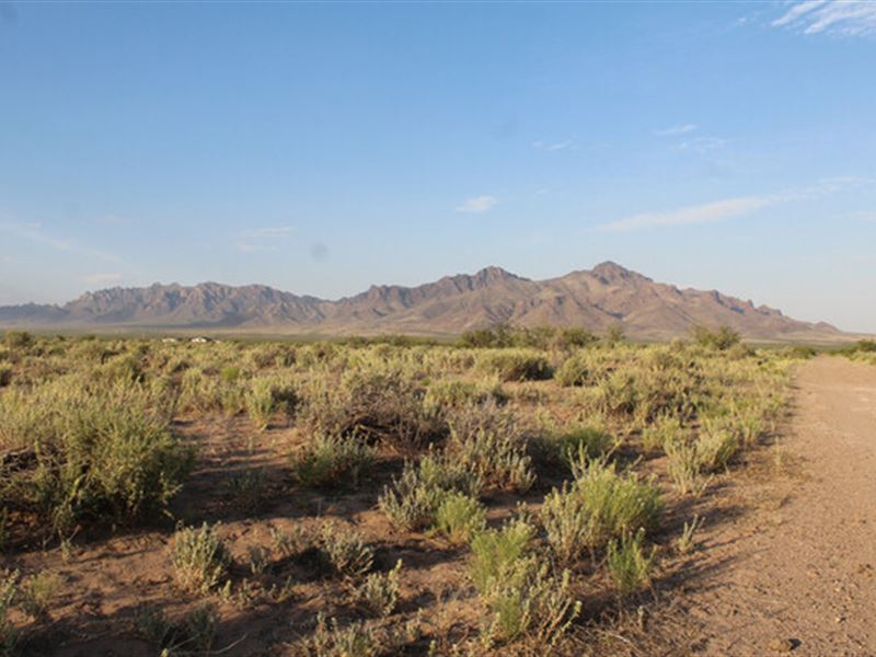 Fascinating Mountain Views in NM : Deming : Luna County : New Mexico