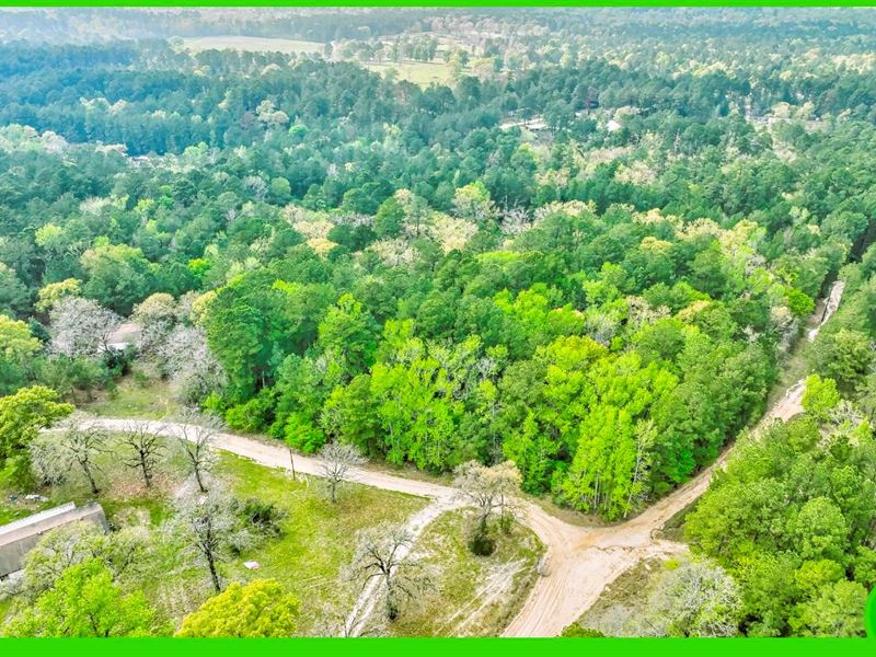1.91 Acre Lot with No Restrictions : Trinity : Trinity County : Texas