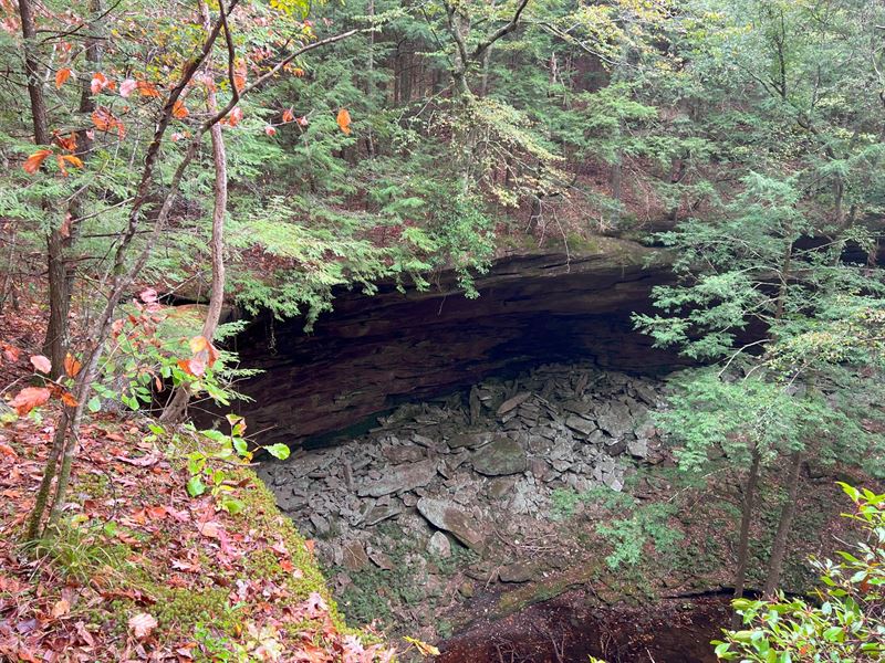 Sipsey River Overlook : Double Springs : Winston County : Alabama