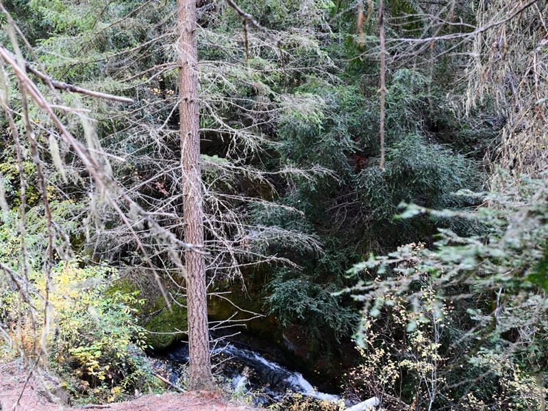 2 Acres/Wagner Gap : Talent : Jackson County : Oregon