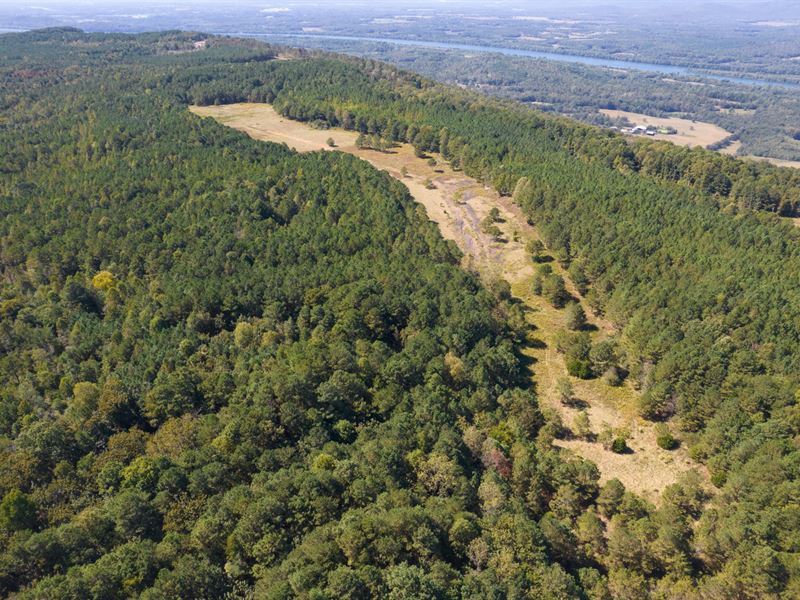 87 Acres Jackson County, AL : Flat Rock : Jackson County : Alabama