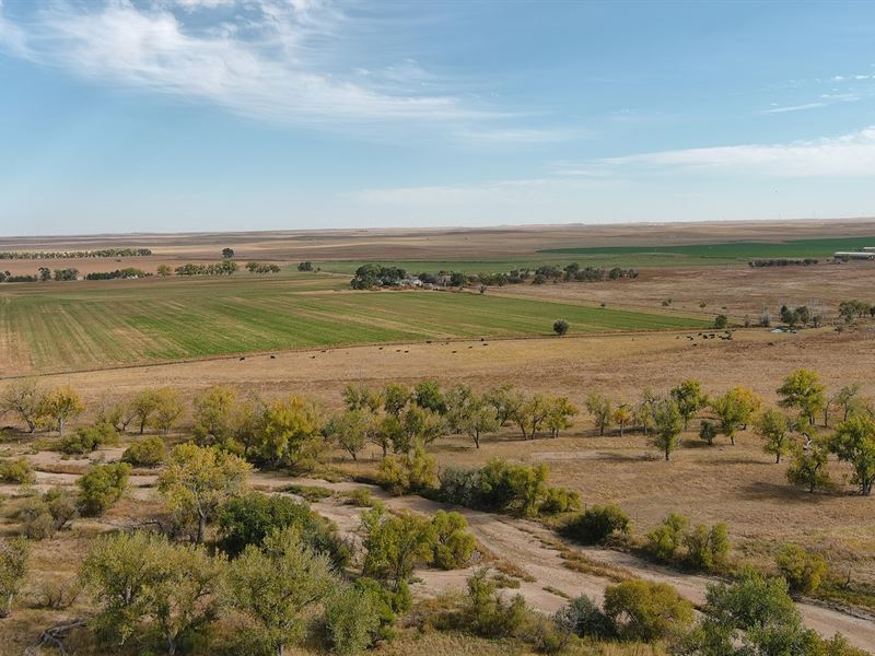 Ron Stanley Estate Land Auction : Sterling : Logan County : Colorado