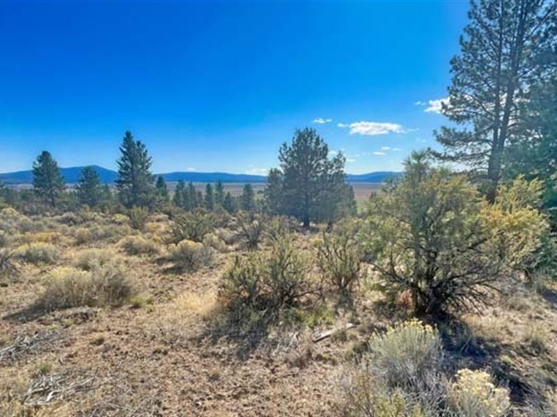I Need to Ask You Something : Beatty : Klamath County : Oregon