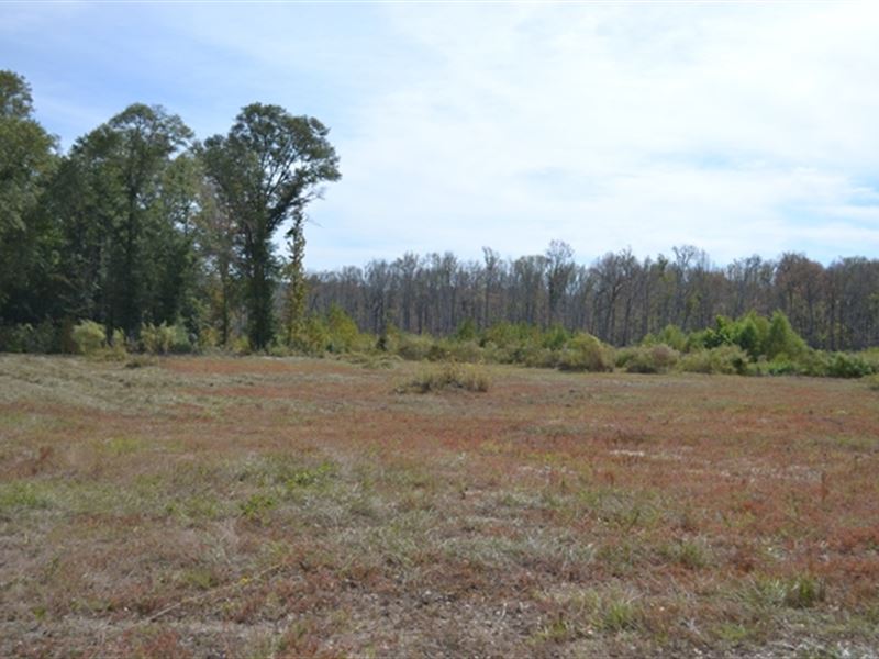 Big Sandy Creek : Jeffersonville : Wilkinson County : Georgia