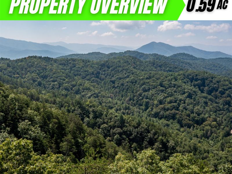 Stunning Vacant Land Opportunity : Sevierville : Sevier County : Tennessee