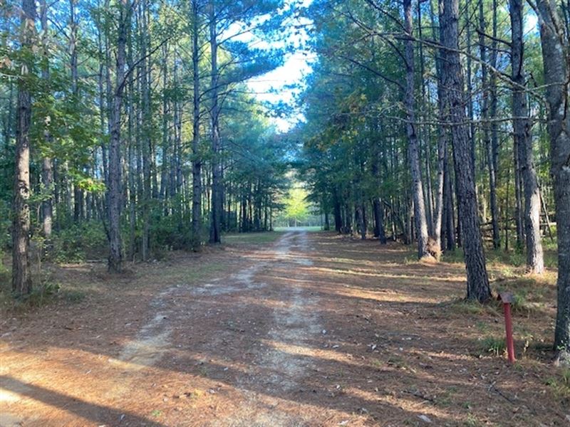 20 Lehr Crossing : Tylertown : Walthall County : Mississippi