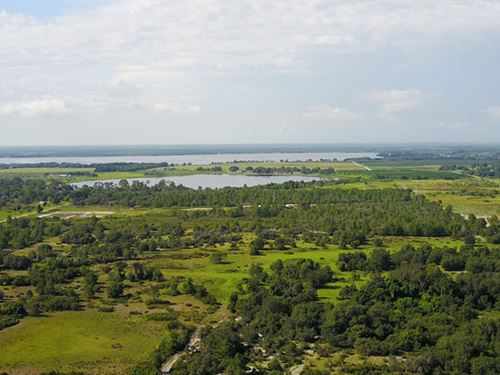 Lake Lizzie Pasture : Bartow : Polk County : Florida