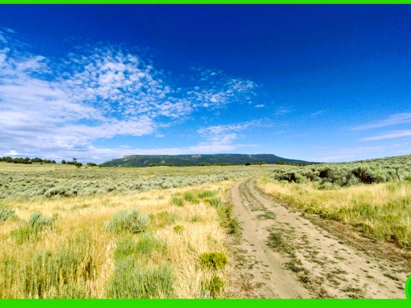 20.88 Acres in Dulce, NM : Dulce : Rio Arriba County : New Mexico
