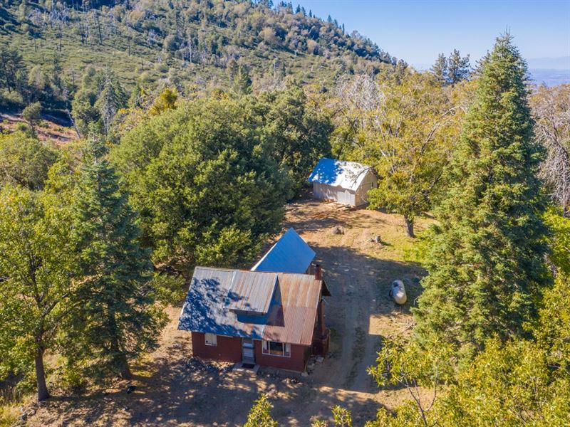 Palomar Divide Truck Trail Acreage : Palomar Mountain : San Diego County : California