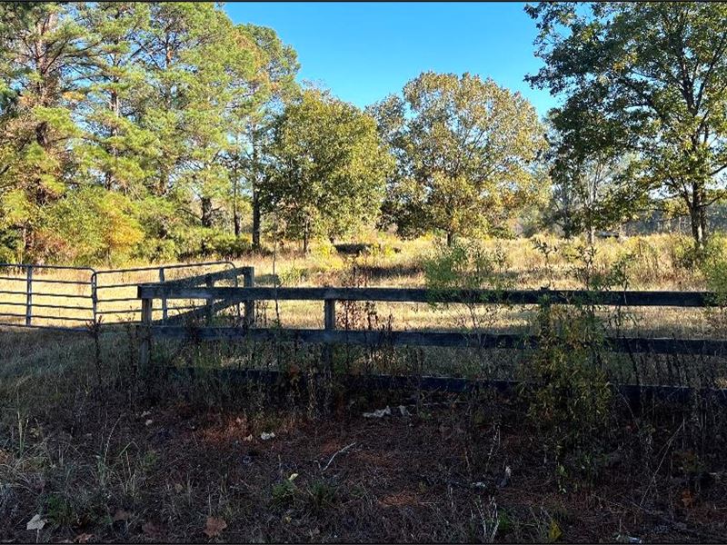 17 Acres in Leake County in Koscius : Kosciusko : Leake County : Mississippi
