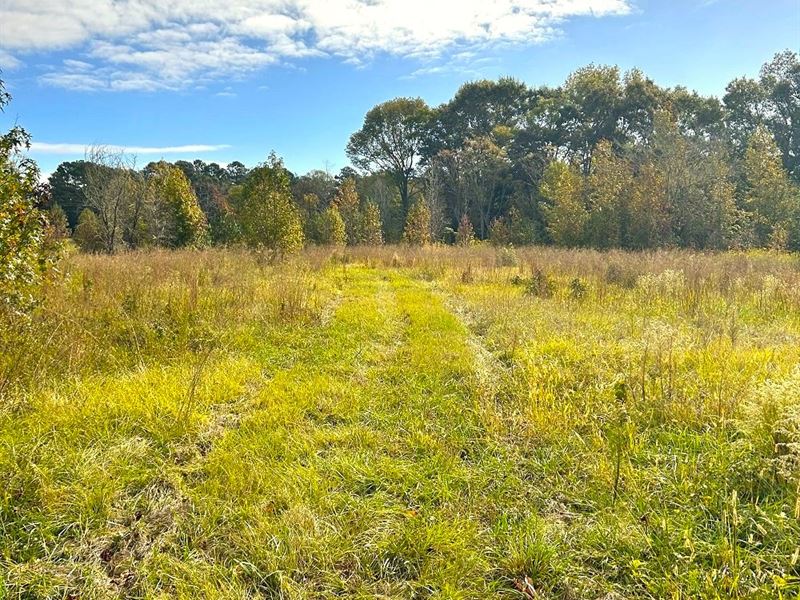 Quiet, Country Homesite : Thomaston : Upson County : Georgia