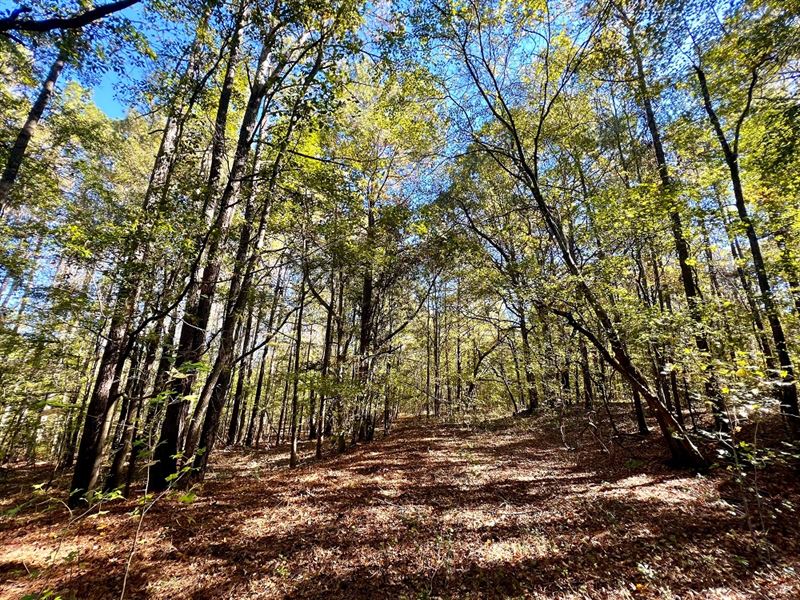 Quiet, Country Homesite : Thomaston : Upson County : Georgia