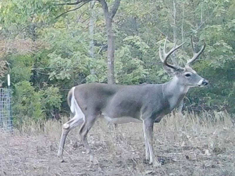 McGee Creek West Hunting Reserve : Stringtown : Atoka County : Oklahoma