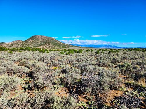 Perfect Spot for Your Dream Cabin : Fortgarland : Costilla County : Colorado