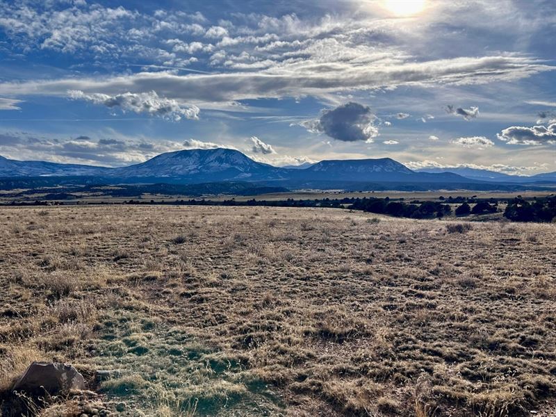 Cr 620 Lot 6, Gardner, Co 81040 : Gardner : Huerfano County : Colorado