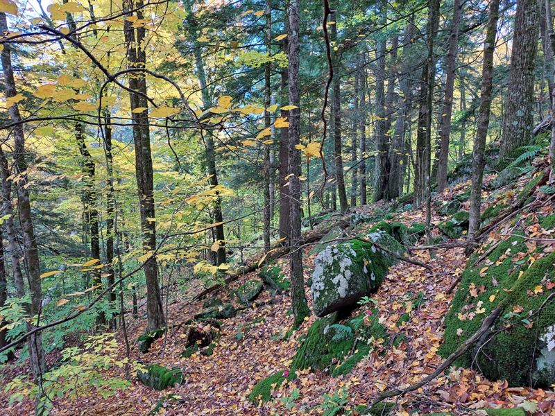 Lake George Heights : Lake George : Warren County : New York