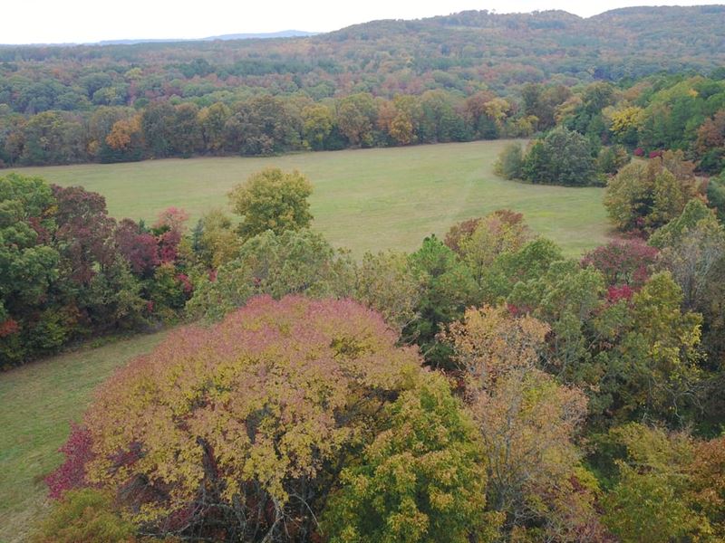 Big Oaks Ranch, Ozark Mountains 12 : Ozark : Franklin County : Arkansas