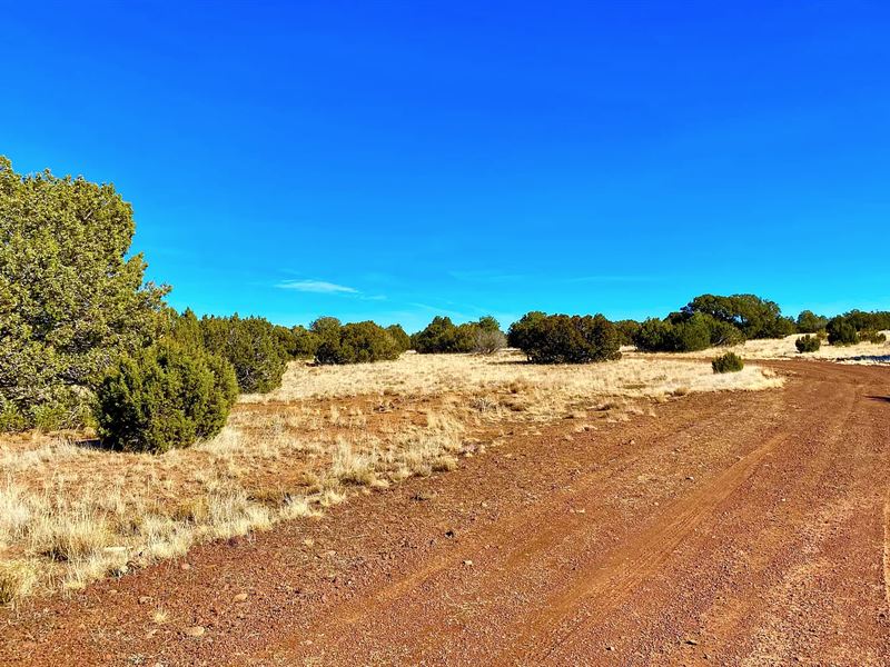 RV Friendly Lot : Concho : Apache County : Arizona