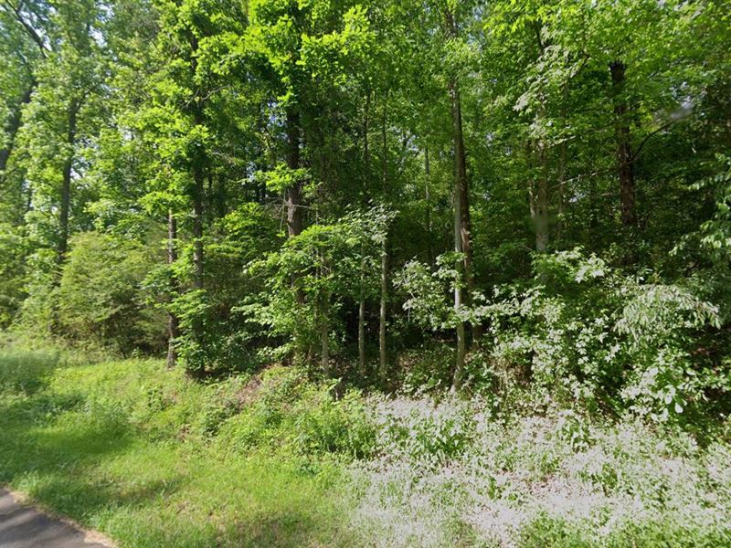 Live The Dream in Oconee County : South Carolina : Oconee County : South Carolina