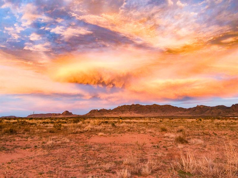 4.5 Acres with Dirt Runway Access : Deming : Luna County : New Mexico