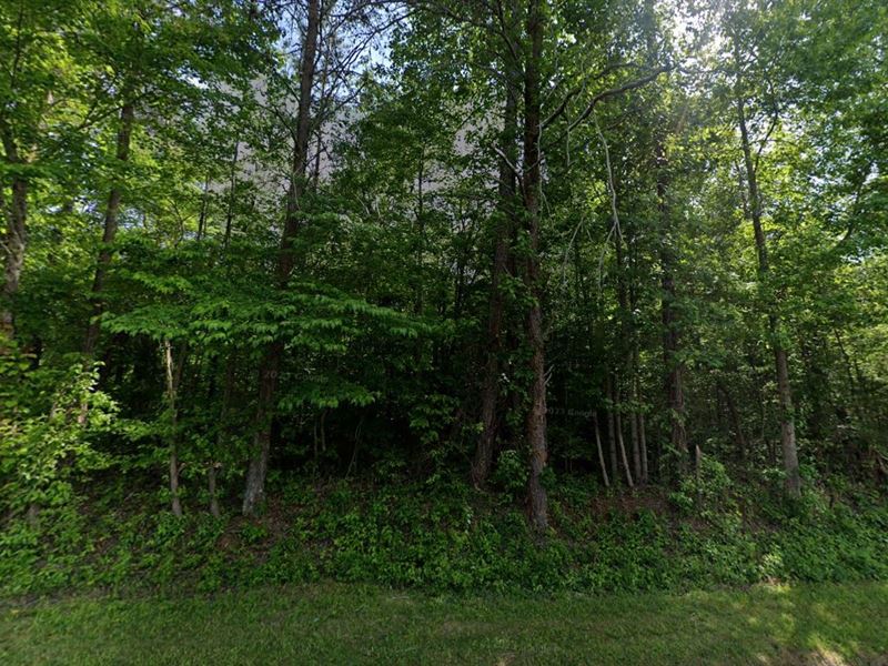 Explore 0.68 Ac of Serenity : South Carolina : Oconee County : South Carolina