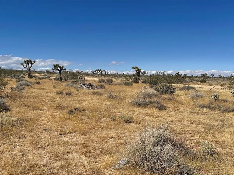 4.7 Acres in Yucca Valley, CA : Yucca Valley : San Bernardino County : California