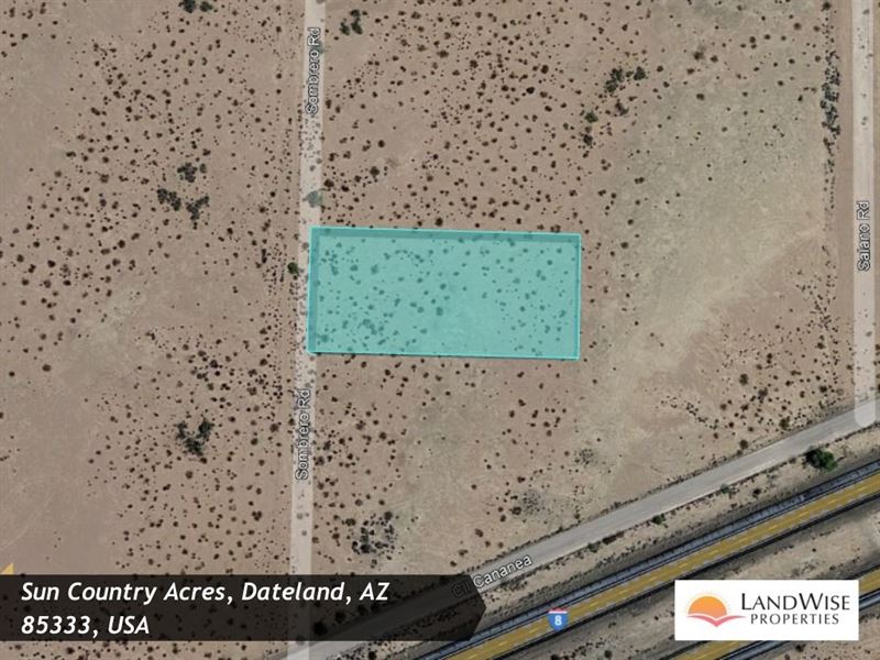 Embrace The Beauty of The Desert : Dateland : Yuma County : Arizona