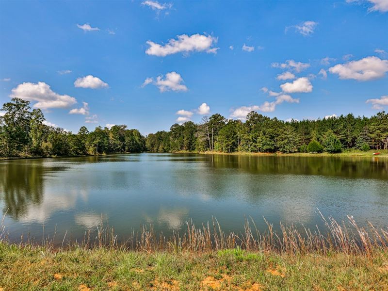 Yellow River Offering : Covington : Newton County : Georgia