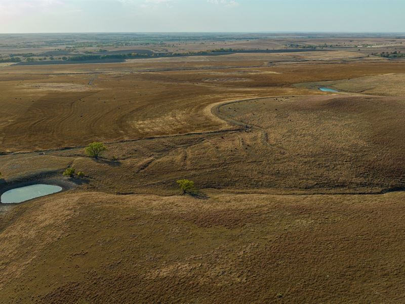 Lincoln County Cropland, Hunting : Lucas : Lincoln County : Kansas