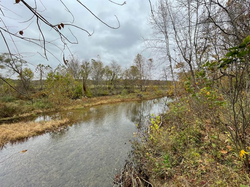 Camden County 87 Acres Hunters Para : Richland : Camden County : Missouri