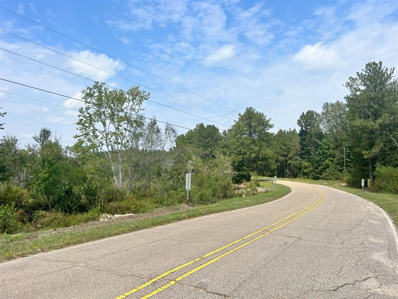 10.5 Acres in Perry County, MS : Richton : Perry County : Mississippi