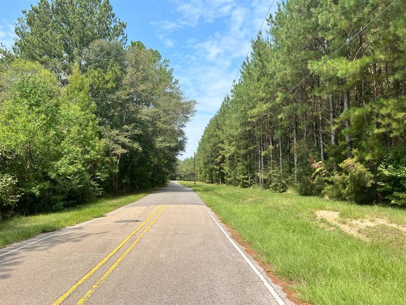 6 Acres in Perry County, MS : Richton : Perry County : Mississippi