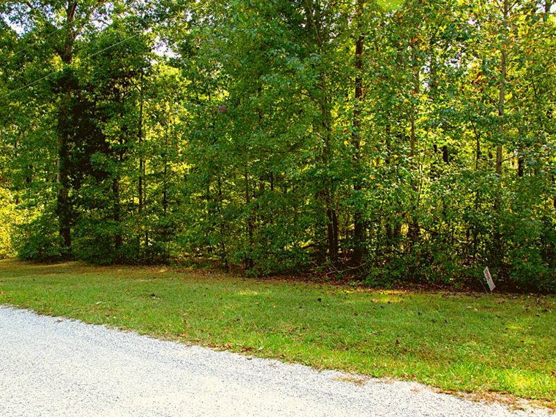 1.7 Acres Only 18 Min to Carroll : Cedar Grove : Carroll County : Tennessee