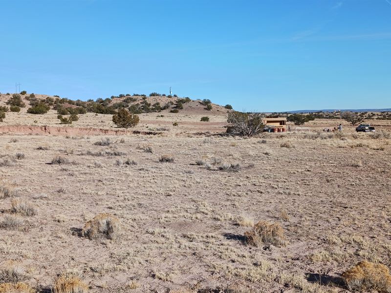 Your Vision, Your Land, Arizona : Snowflake : Apache County : Arizona