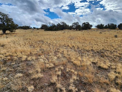 Smart Money Moves, 1.04 Ac in AZ : Sanders : Apache County : Arizona