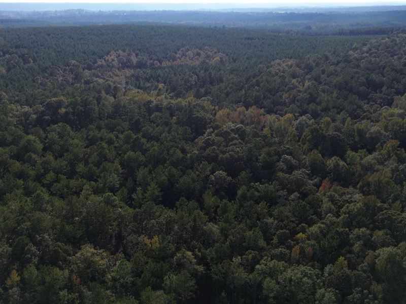 6.54 Acres in Baldwin County, GA : Gordon : Baldwin County : Georgia