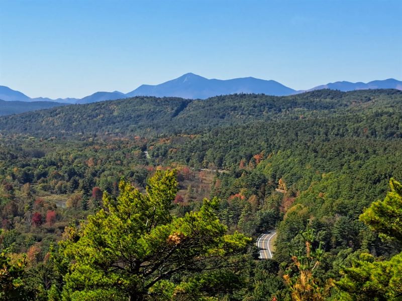 Ausable Timberlands : Keeseville : Clinton County : New York