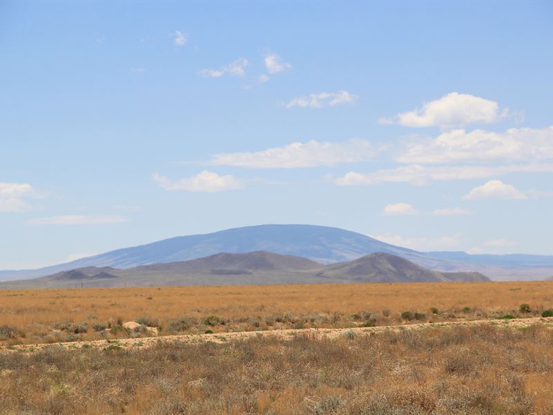 Your Land, Your Legacy, 5 Acres : Mesita : Costilla County : Colorado