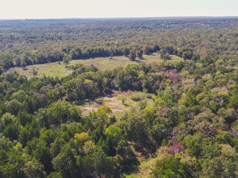 30 Acres in Milam County : Milano : Milam County : Texas