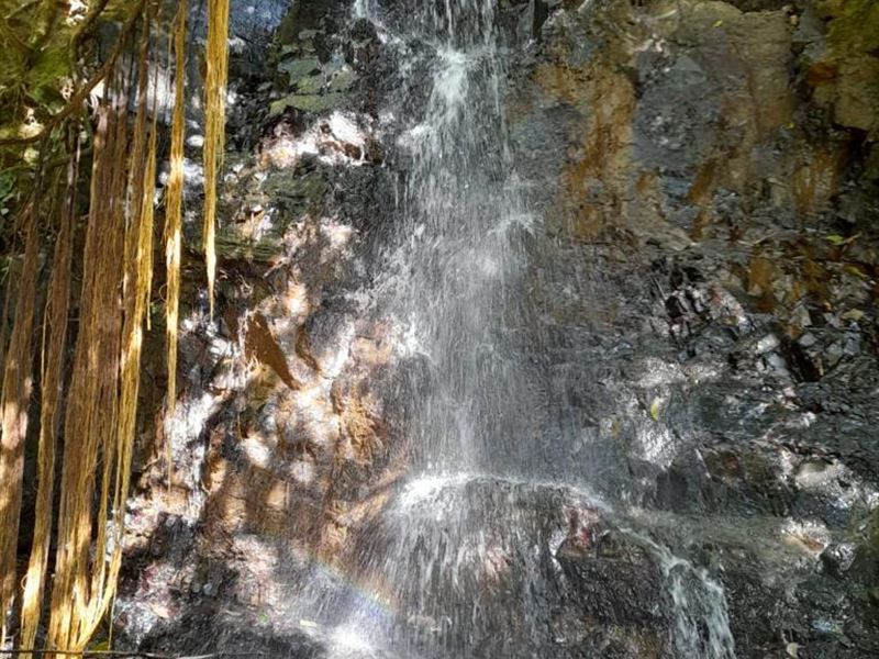 Beautiful Farm with Waterfalls : Rivas San Isidro : Costa Rica