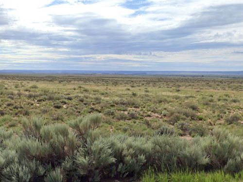 Petrified Forest Base Camp Awaits : Holbrook : Apache County : Arizona